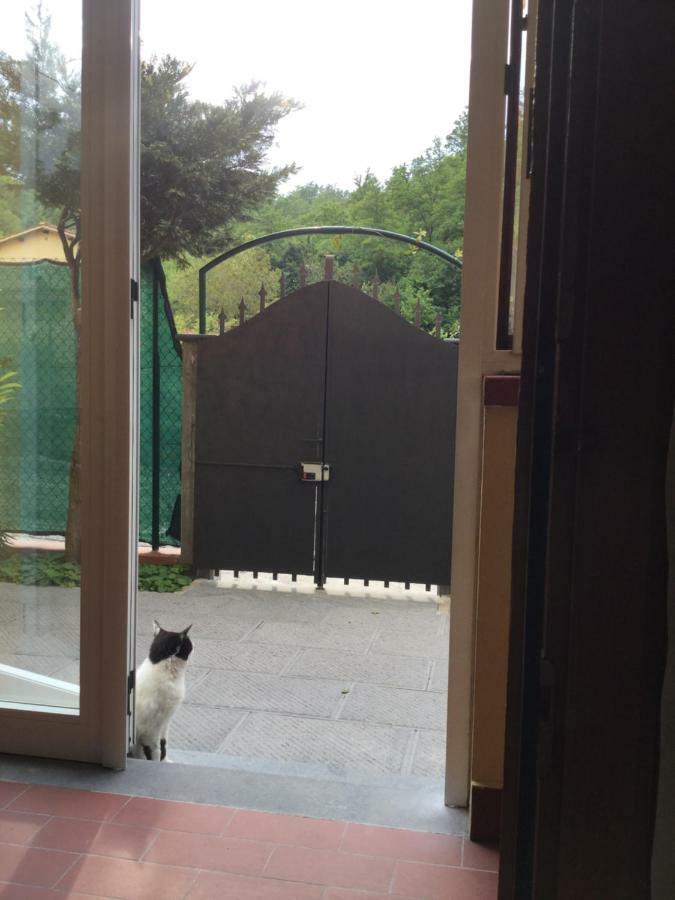 Apartamento Casa Taiuti San Piero a Sieve Exterior foto